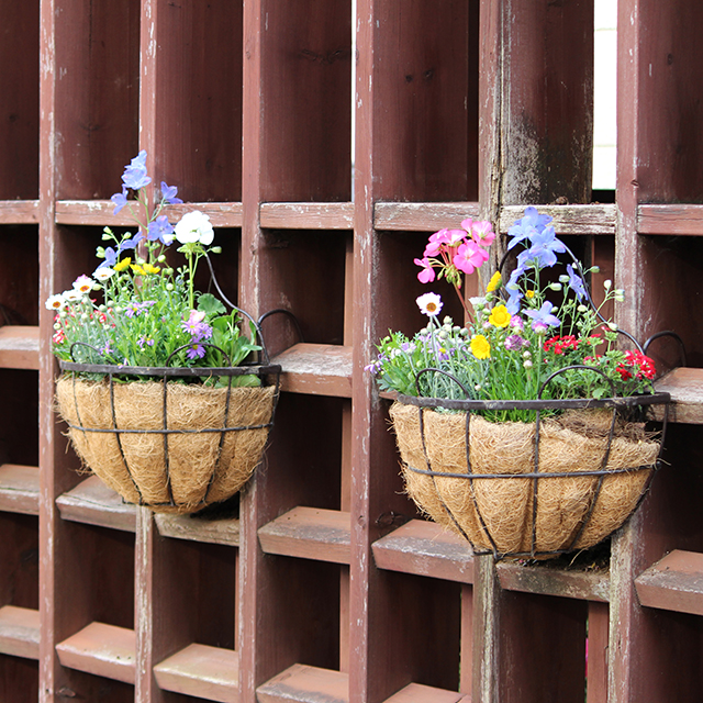 保育園のエントランスのハンギングプランターに、スポットのご依頼で植え替えします。