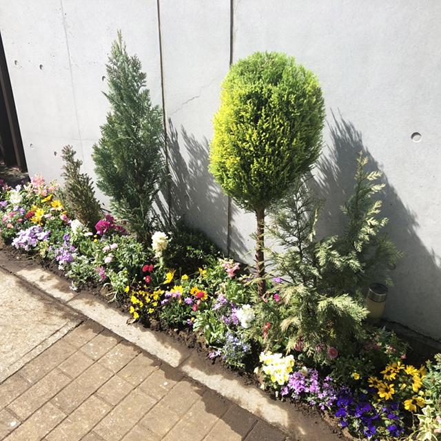 保育園の花壇装飾。園内のプランターと外花壇の植え替えをスポットでご依頼いただいております。