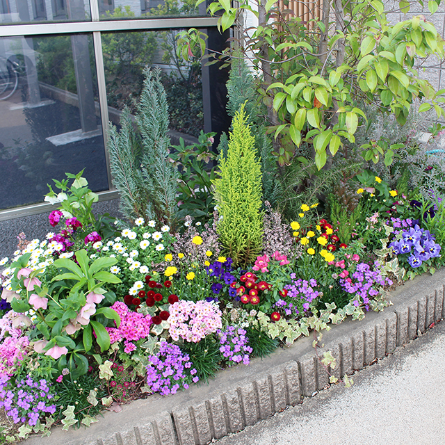保育園の花壇装飾。主に春・夏・冬の年3回ご依頼いただき植え替えます。特に春は卒園式・入園式前なので気合を入れます。