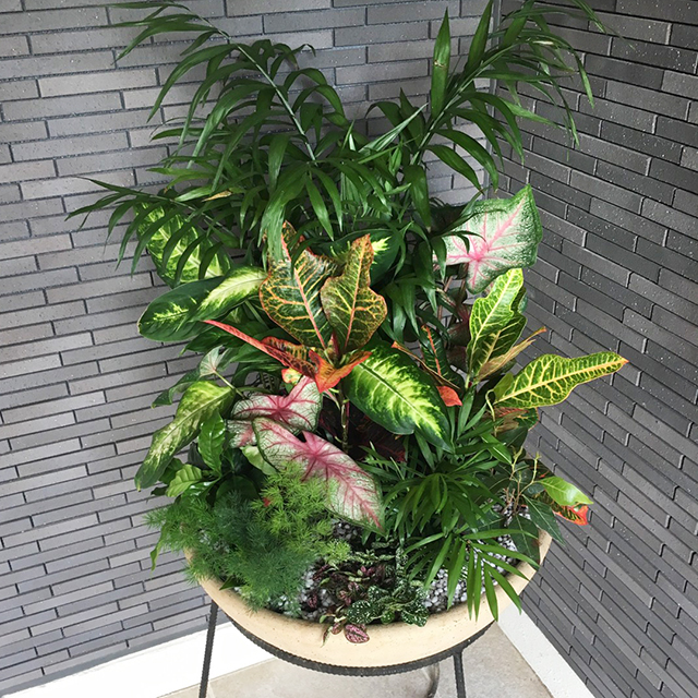 デザイナーズマンションのエントランス装飾(夏)<br>夏なので熱帯をイメージしています。