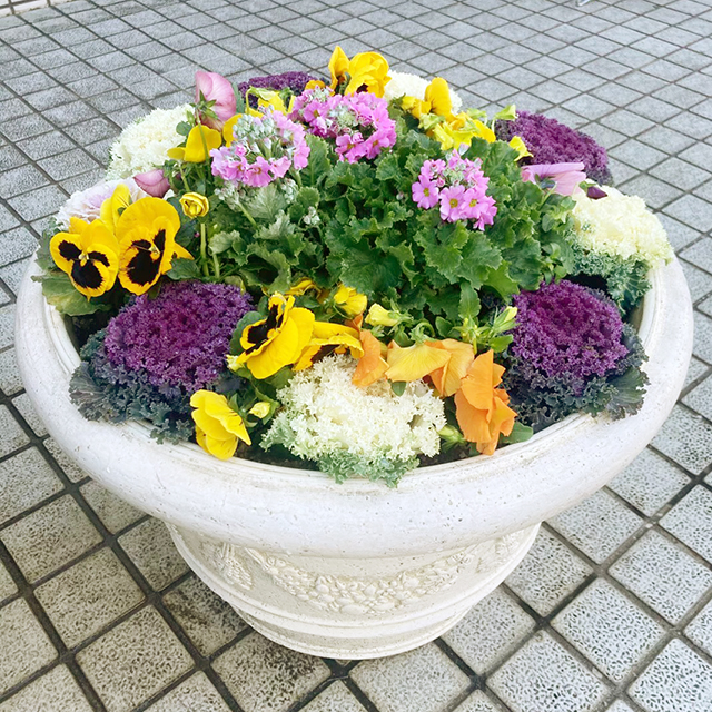 病院の玄関ポーチの草花装飾を、毎月交換します。季節によって植える花は毎回違います。