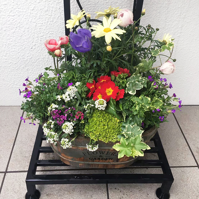 こどもクリニックの入口にある、かわいいオブジェの足元に置く草花装飾を毎月交換します。