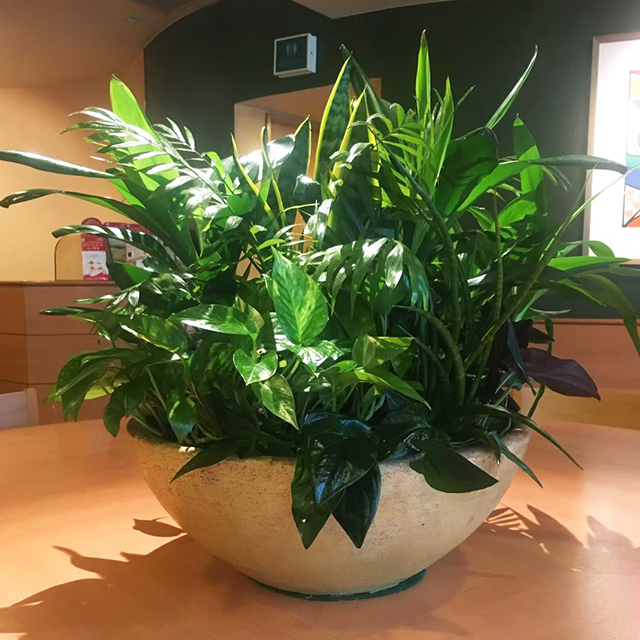 喫茶店のセンターテーブルの中心に設置しました。